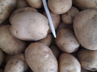 Estoy comprando cebolla y potaotes para el mercado croata.