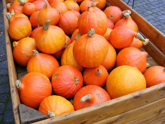 en la temporada 2020 venderé calabazas hokaido en una cantidad de alrededor de 400-500 toneladas 0.9 -2 kg, en envases de cartón o, a convenir, cooperaré en la