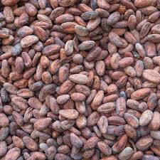 Plántulas de coacoa disponibles para la producción de productos secundarios y para aquellos interesados en cultivar sus propias granjas
