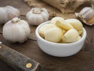 Planta de ajo para cocinar y también sirve como