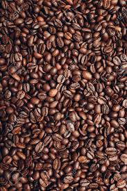 Plántulas de café para producción secundaria y también para agricultores