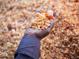 Saludo de Arabic Gum Suppliers LLC Somos una empresa