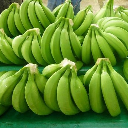 BANANOS DULCES Y DULCES PARA LA VENTA / Plátano Cavendish Verde Orgánico Natural: Nuestros productos se han exportado a muchos países de todo el mundo y