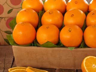 Frutas NARANJAS en contacto directo, What'sapp: correo electrónico