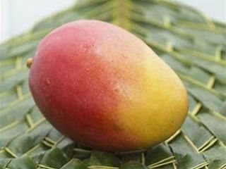 mango fresco de alta calidad, contacte directamente, What'sapp: correo