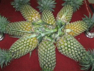 Frutas de piña frescas, póngase en contacto directamente, What'sapp: