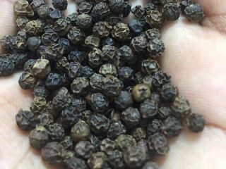 Pimienta negra natural de la mejor calidad Póngase en