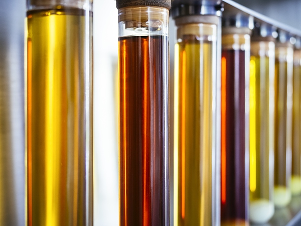 Venderé aceite de colza con contenido de fósforo de hasta 30 PPM directamente del productor