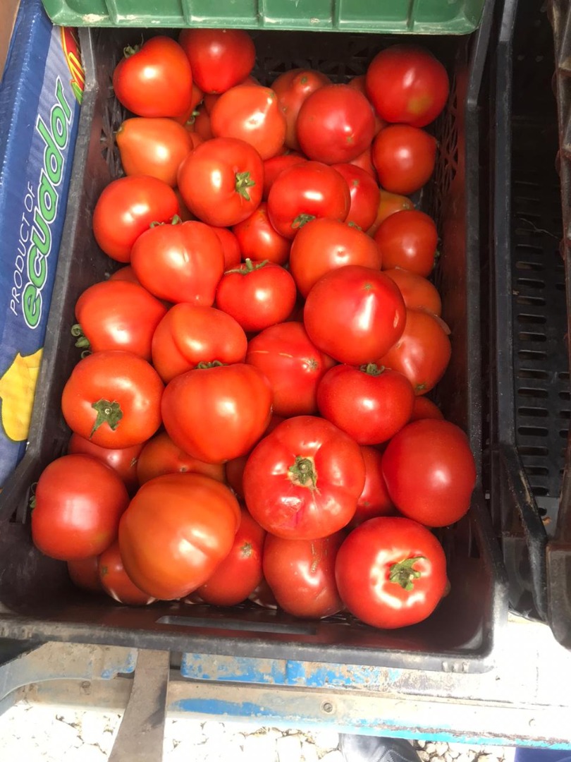 ¡Tomates DIRECTAMENTE DE UN FABRICANTE EN ALBANIA! Sensacional sabor y olor !!! orden mínima 20t