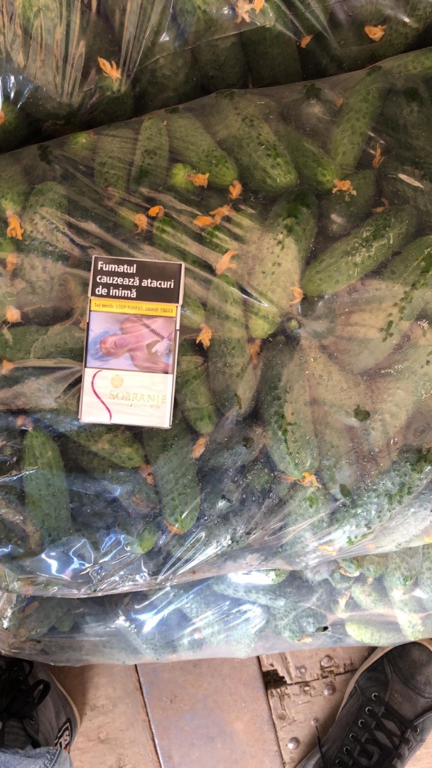 La empresa România vende pepinos calibre 7-13 cm, en bolsas de 25 kg