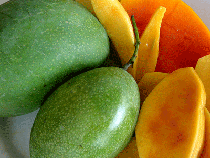 Fresh Mango Mango es el rey de las frutas