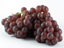 Uvas frescas La gama más completa de uvas frescas