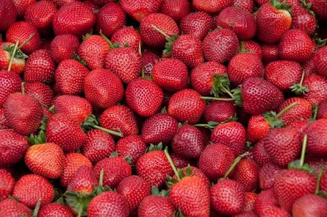 Sandía fresca y fresas de la granja a precios asequibles