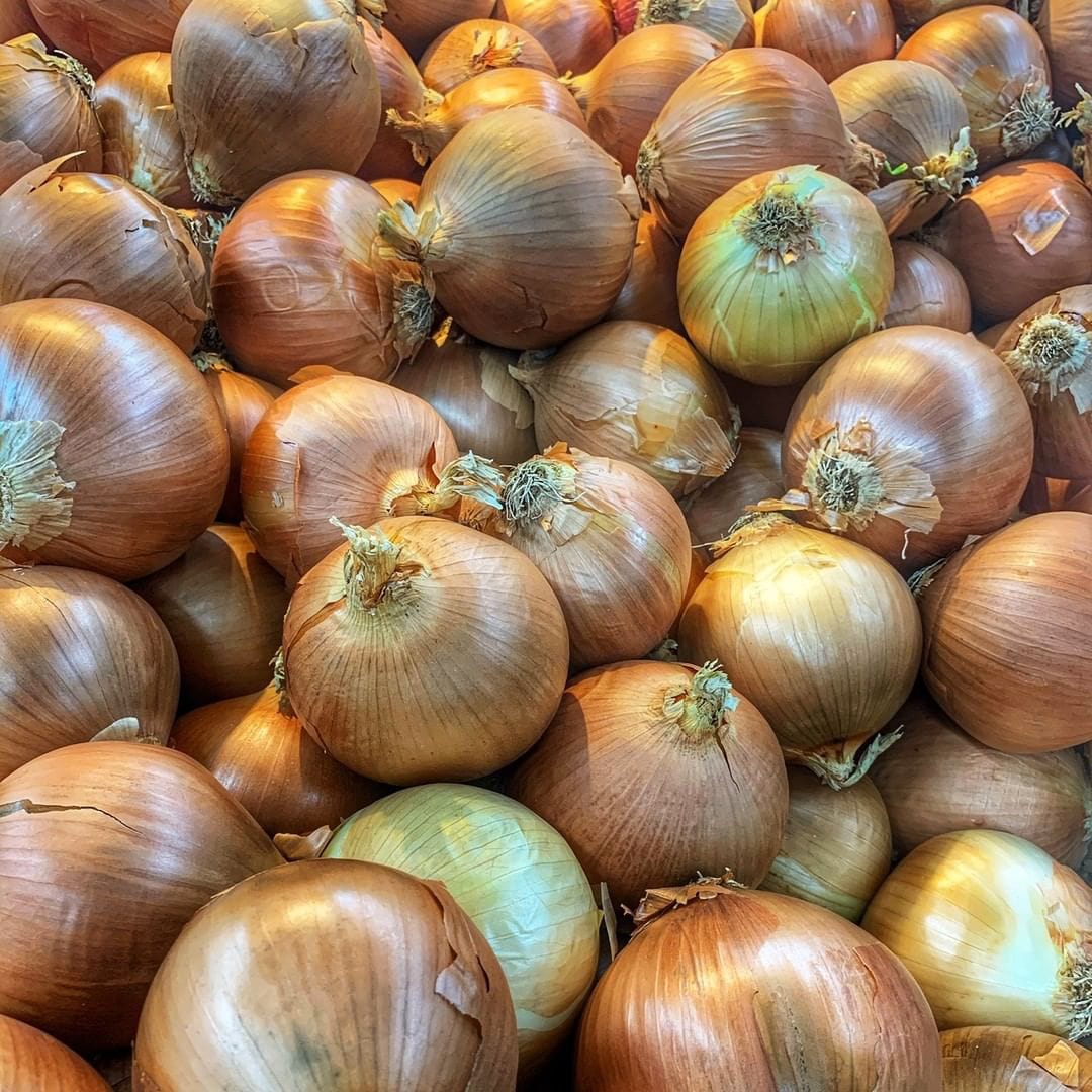 tenemos cosecha fresca de cebolla roja y amarilla disponible para la venta Calibre: 55+ por favor contacte directamente, llame, envíe un mensaje de texto o