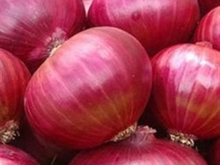 tenemos una cosecha fresca de cebolla roja y amarilla,