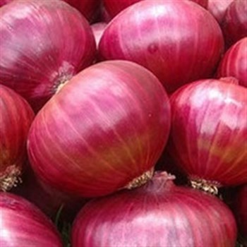 tenemos una cosecha fresca de cebolla roja y amarilla, comuníquese directamente con What'sapp: correo electrónico