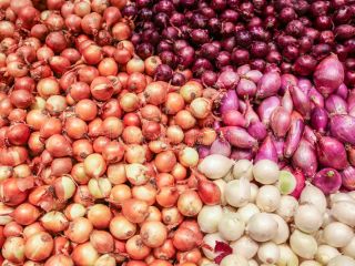 Tipo de producto: Vegetales liliáceos Tipo: Cebolla Estilo: Fresco