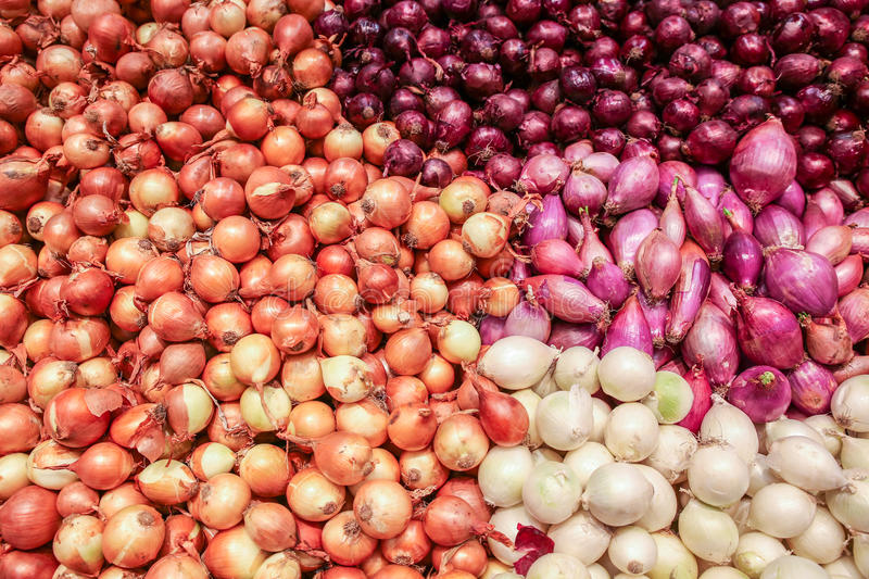Tipo de producto: Vegetales liliáceos Tipo: Cebolla Estilo: Fresco Tipo de cultivo: Parte común: Forma sin pelar: Redondo Madurez: 100% Tamaño (cm): 5