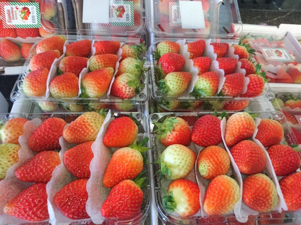 Estimado señor / señora Procom es un importante proveedor de productos agrícolas de Vietnam, ofrecemos PRECIOS FRESCOS, DELICIOSOS y BAJOS