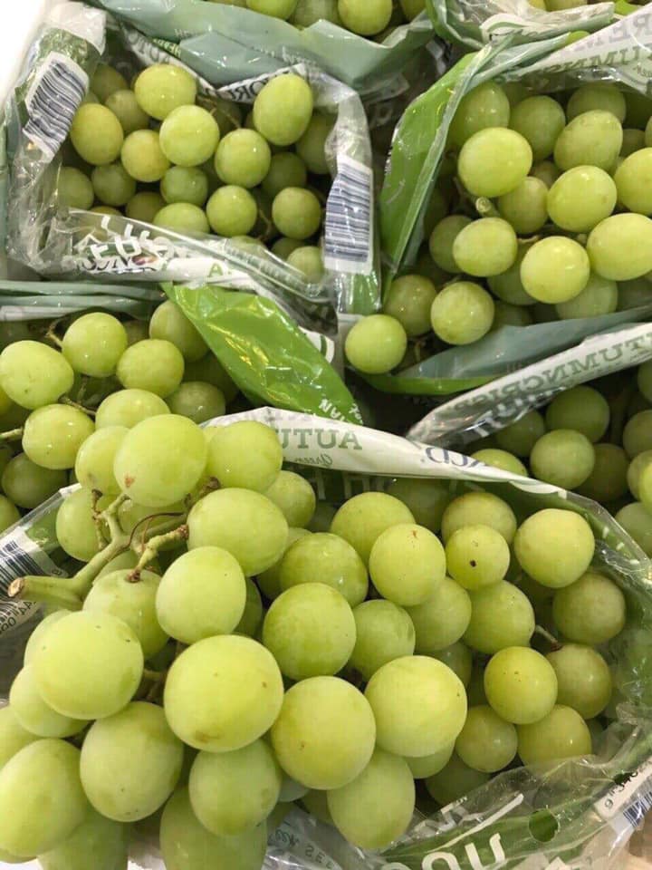 Estimado señor / señora Procom es un importante proveedor de productos agrícolas de Vietnam, ofrecemos PRECIOS FRESCOS, DELICIOSOS y BAJOS