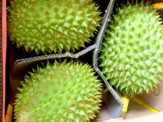 Los aguacates se llaman superalimentos por una buena razón: