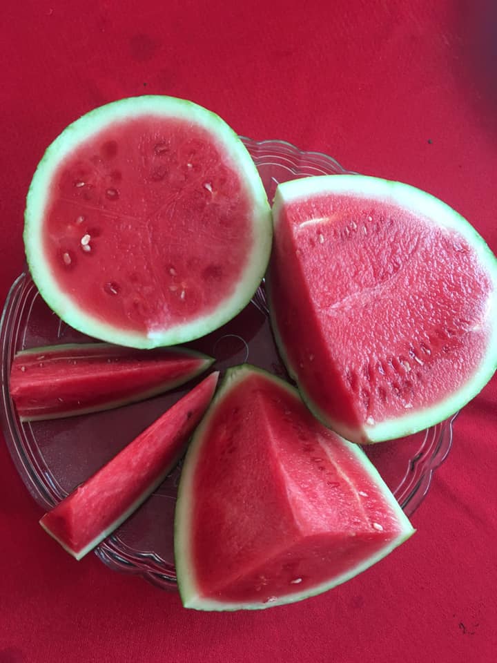 La sandía (Citrullus lanatus) es una fruta grande y dulce originaria del sur de África