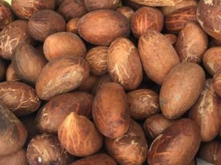 La kola amarga es una fruta herbal nativa de