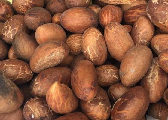 La kola amarga es una fruta herbal nativa de África con muchos beneficios para la salud, tenemos una de las granjas más grandes y queremos un gran comprador de