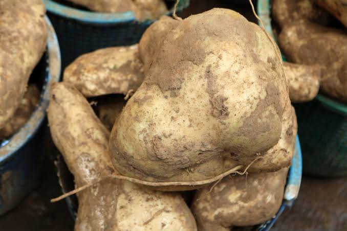 Tenemos batatas frescas de nuestra granja, buscamos patrocinio internacional a nivel mundial, nuestros precios se adaptarán a su presupuesto, anticipamos una