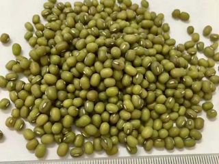 Tipo de producto: Frijoles Vigna Tipo: Frijoles Mung Estilo: