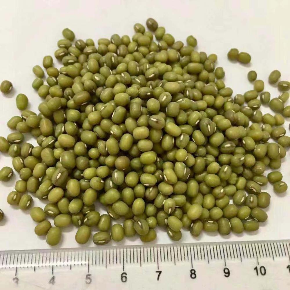 Tipo de producto: Frijoles Vigna Tipo: Frijoles Mung Estilo: Proceso de secado seco: AD Embalaje: a granel, lata (estañado), embalaje de regalo, paquete de