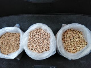Guisantes enteros, fuertes, paquete de 50 kg, 500 T