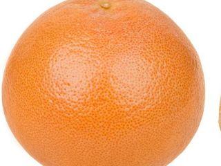 El pomelo es un árbol cítrico subtropical conocido por