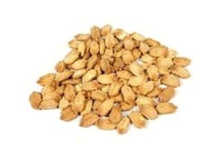 Semillas de melón amargo [Momordica charantia] - PLANTA MEDICINAL