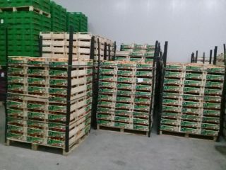 Depende del tamaño, el precio de las condiciones de