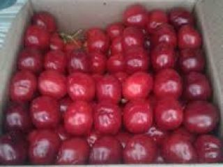 Estamos vendiendo cereza ROJA, así como el precio de