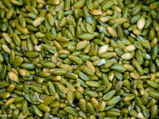 Granos de nuez de pistacho de alta calidad con