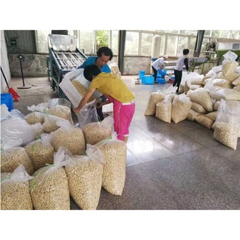 anacardos para la venta, póngase en contacto directamente, What'sapp: correo electrónico