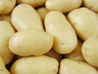 excelente calidad precio de papa fresca barato, contáctese directamente,