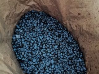 Venderé arándanos, congelados, de muy buena calidad, embalados en