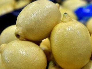 Hemos estado vendiendo frutas y verduras de Turquía. Contáctanos