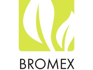 La empresa BROMEX Polonia vende: comino, cilantro, GORCZYCE, linaza