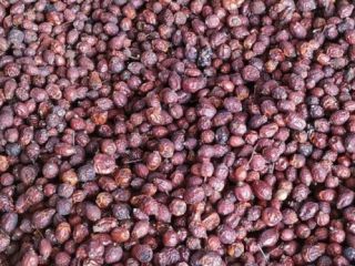 Rosa mosqueta seca, la mejor calidad, entregamos a cualquier