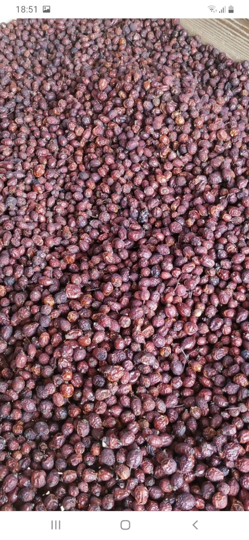 Rosa mosqueta seca, la mejor calidad, entregamos a cualquier país europeo