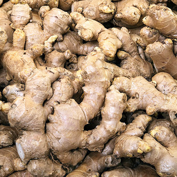 Nueva cosecha de vegetales frescos de jengibre, póngase en contacto directamente con What'sapp