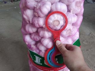 Ajo blanco normal fresco, póngase en contacto directamente con