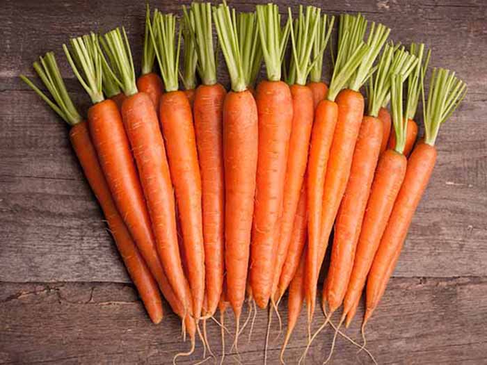 Zanahoria dulce con buena calidad y precio para exportar Zanahoria dulce con buena calidad y precio para exportar, póngase en contacto directamente con