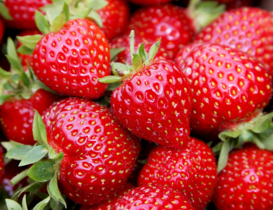 En la temporada 2020 venderemos fresas industriales sin tallos
