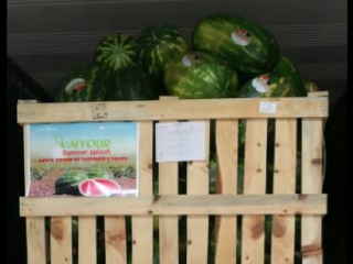 Nuestra sede se encuentra en Agadir y proviene de