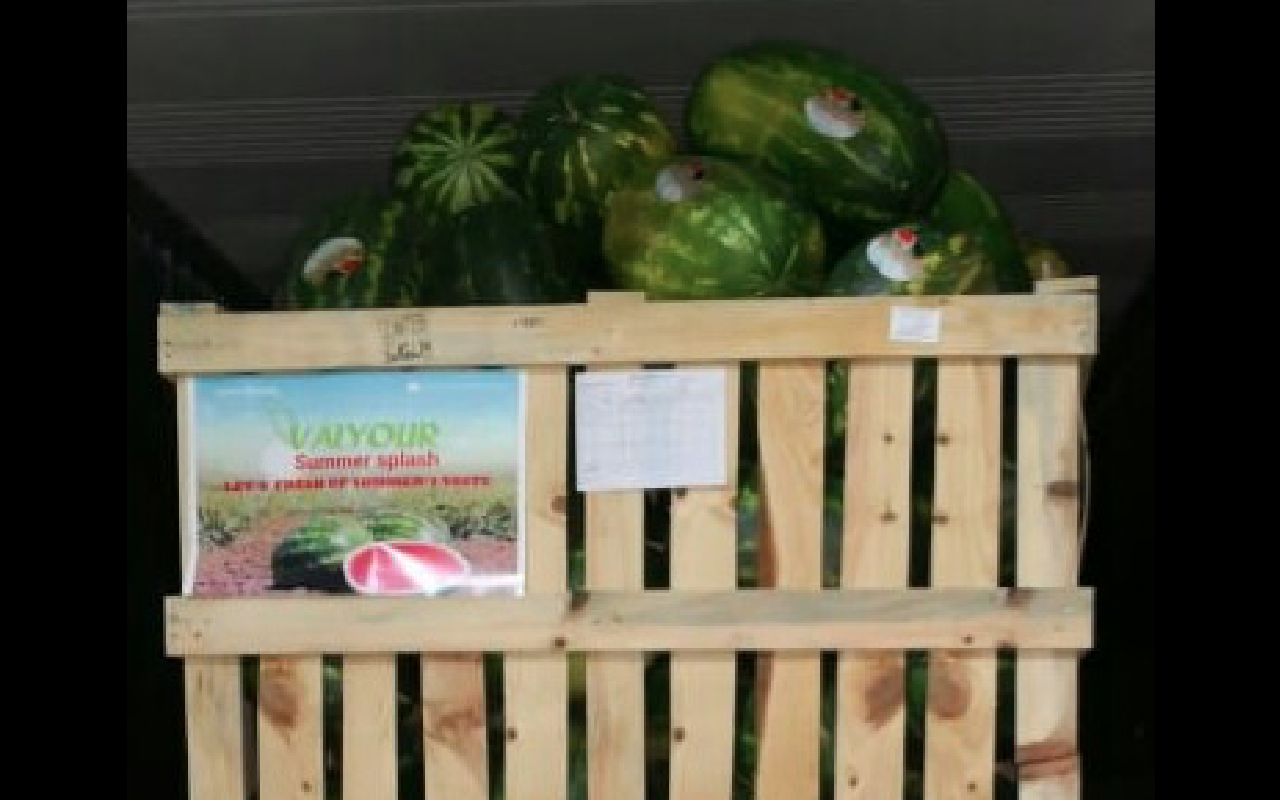 Nuestra sede se encuentra en Agadir y proviene de Marruecos